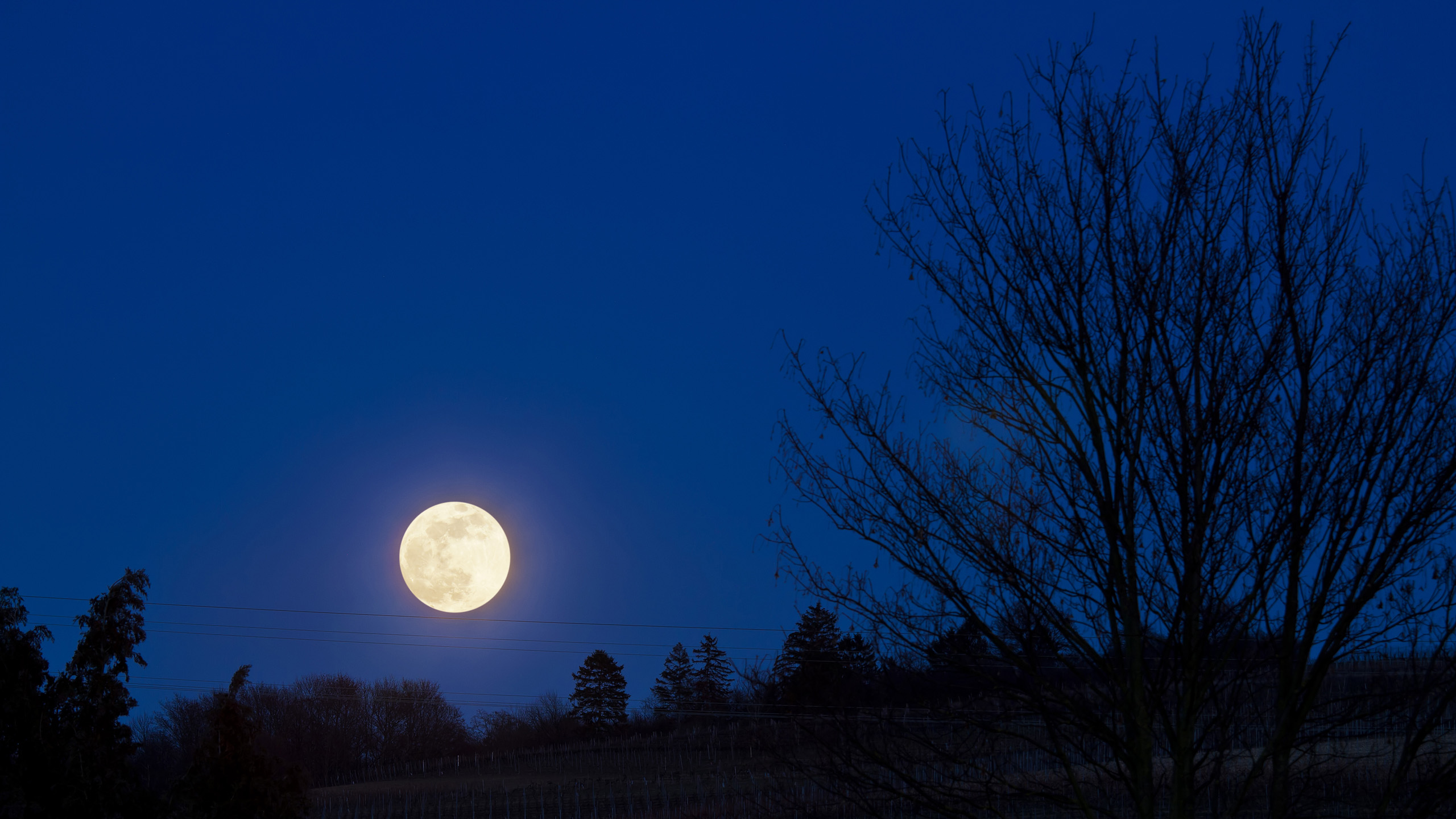 Vollmond über Nieder-Olm Februar 2019